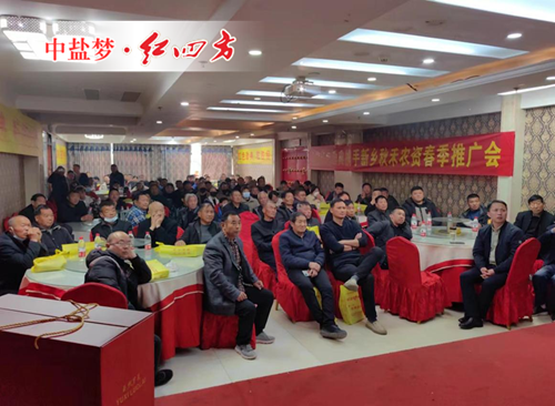 午夜福利电影在线观看新乡启动会